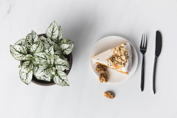 Walnut cake on plate with fork and knife near plant pot 