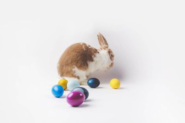 Tavşan boyalı Paskalya yumurtaları, Paskalya kavramı ile yan görünüm