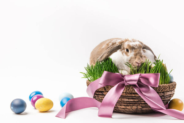 Rabbit sitting in basket bound by ribbon with painted eggs around, easter concept