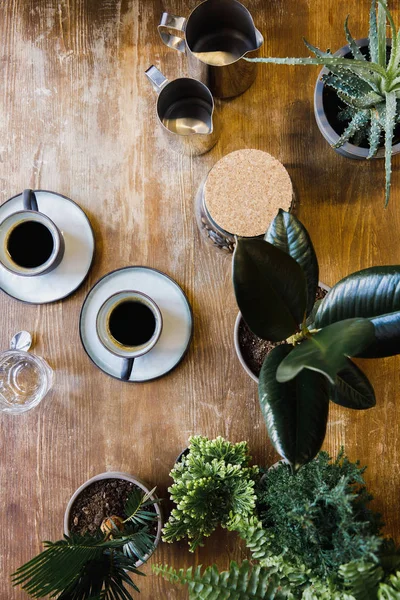 Zwei Tassen Schwarzen Kaffee Auf Dem Tisch Mit Pflanzen Café — Stockfoto