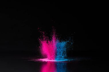 pink and blue holi powder explosion on black, traditional Indian festival of colours clipart