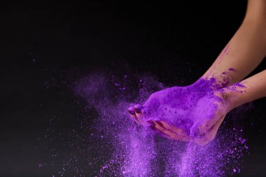 cropped view of female hands with purple holi powder, isolated on black clipart