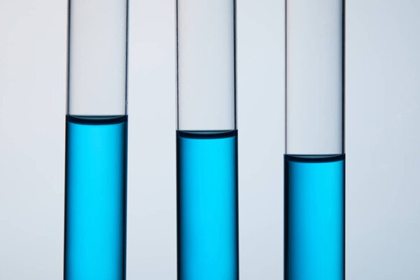 close-up shot of test tubes filled with blue liquid in row on grey