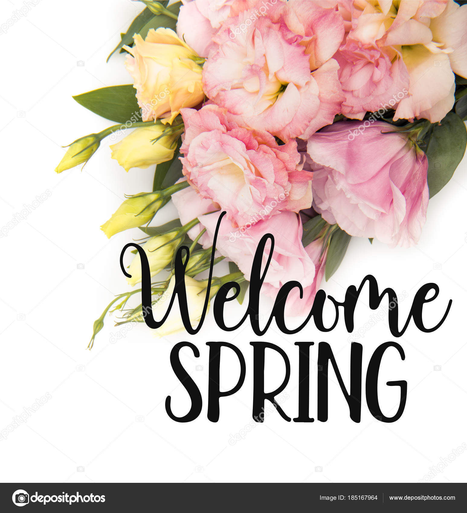 Welcome Spring Image : Welcome Spring Card Clipart 1 566 198 Clip Arts, Browse and add best hashtags to amplify your creativity on picsart community!