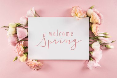 Top view of WELCOME SPRING card and beautiful blooming flowers isolated on pink clipart