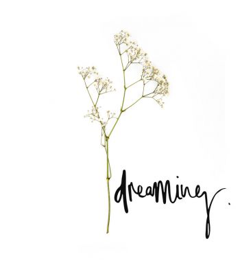 small white flowers on twig with dreaming sign isolated on white clipart