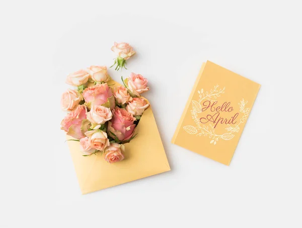 Beautiful Pink Roses Envelope Hello April Card Isolated White — Stock Photo, Image