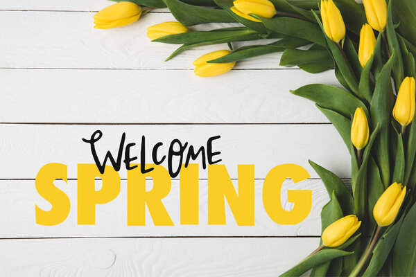 Vista superior de hermosos tulipanes amarillos florecientes y letras WELCOME SPRING en superficie de madera blanca — Imagen de stock Vista Superior Hermosos Tulipanes Amarillos Florecientes Letras Welcome Spring Superficie Fotos De Stock Sin Royalties Gratis