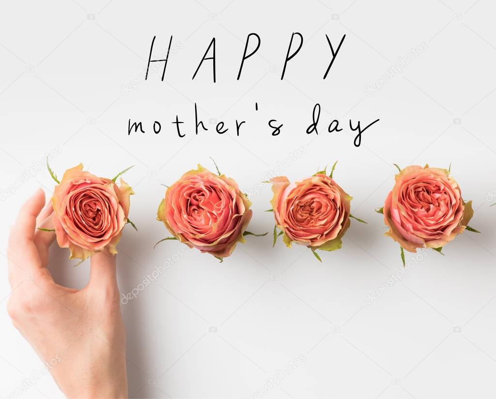 hand touching pink rose buds placed in row with HAPPY MOTHERS DAY inscription isolated on white