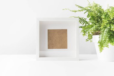 close-up view of empty photo frame and beautiful potted fern on white clipart