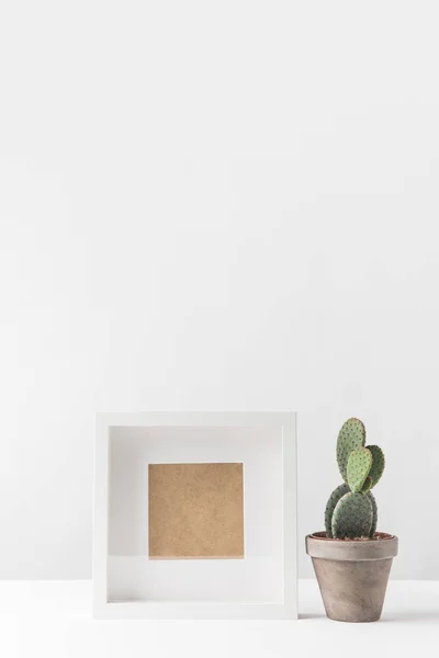 Close View Beautiful Green Potted Cactus Empty Photo Frame White — Stock Photo, Image