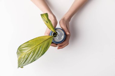cropped shot of woman holding can with green leaves inside isolated on grey, reuse and environment concept clipart