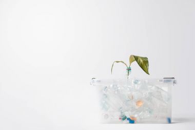 konteyner ile plastik şişeler ve yeşil yaprakları kavramı geri dönüşüm beyaz üzerinde izole görünümünü kapat