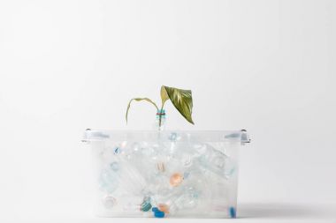 konteyner ile plastik şişeler ve izole kavramı geri dönüşüm gri, yeşil yaprakları görünümünü kapat