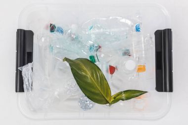 plastik şişeler ve izole kavramı geri dönüşüm beyaz, yeşil yaprakları ile kapsayıcısının Üstten Görünüm