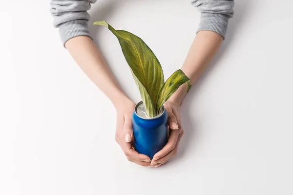 Cropped Shot Woman Holding Can Green Leaves Isolated Grey Reuse — Stock Photo, Image