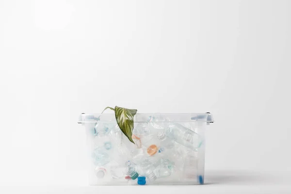 Close Van Container Met Plastic Flessen Groene Blad Geïsoleerd Grijs — Gratis stockfoto