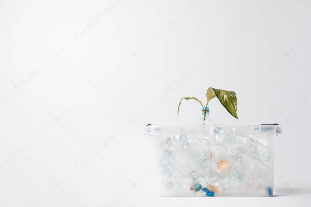 close up view of container with plastic bottles and green leaves isolated on white, recycling concept