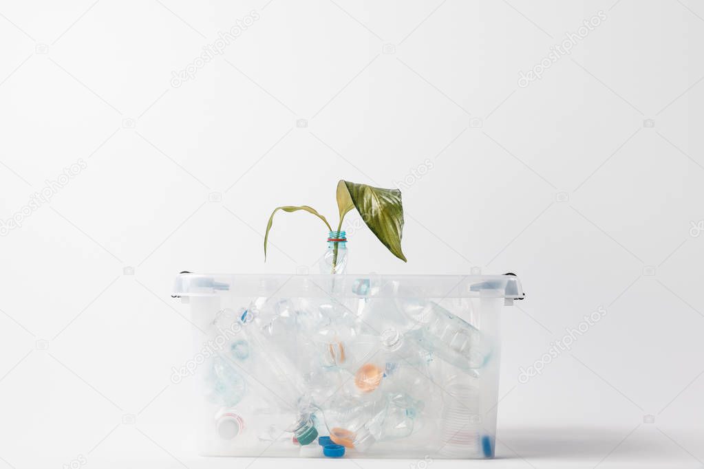 close up view of container with plastic bottles and green leaves isolated on grey, recycling concept
