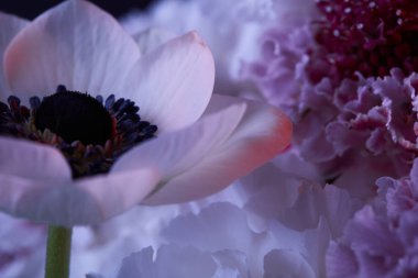 beyaz çiçek stamens ve yaprakları ile yakın çekim