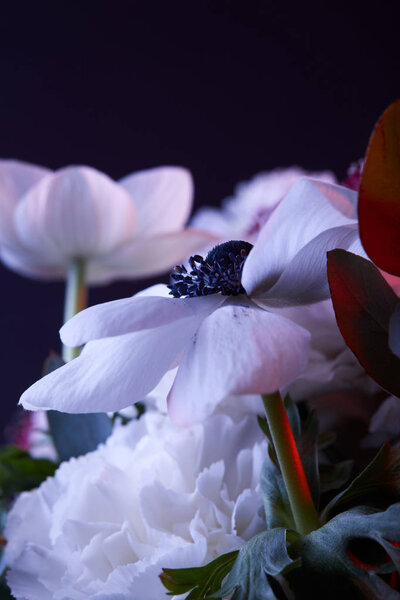white flowers with petals and stamens on dark