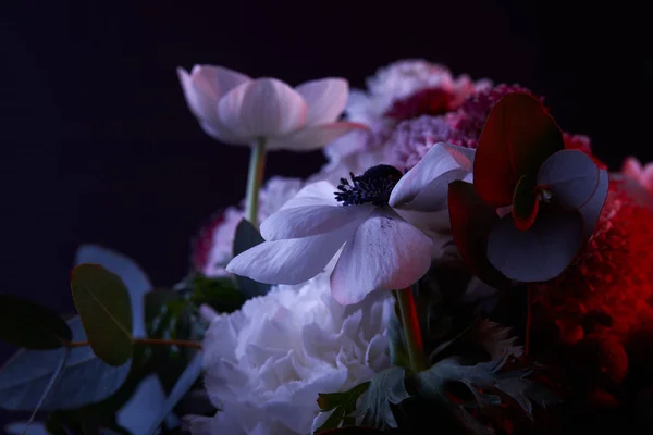 Bukett Olika Blommor Med Rött Ljus Mörk — Stockfoto