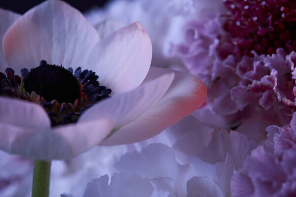 close up of white flowers with petals and stamens