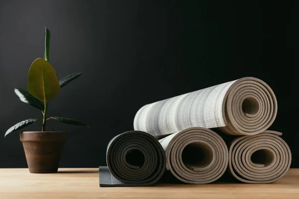 Farklı Haddelenmiş Yoga Paspaslar Ahşap Masa Üzerinde Saksı Bitki — Stok fotoğraf