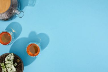 Mavi çaydanlık ve bardak taze sıcak çay ve houseplant tencerede Üstten Görünüm  