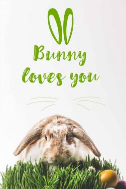 Rabbit looking at camera and sitting on grass with eggs and bunny loves you lettering clipart