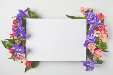 top view of blank card and beautiful tender flowers on grey  clipart