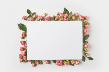 blank card and beautiful pink roses with green leaves on grey  clipart