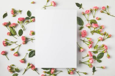 boş kartı ve güzel pembe Gül Grey yeşil yaprakları ile Üstten Görünüm 