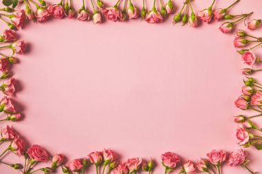 güzel pembe Gül ve kopya alanı pembe üzerinde yapılan çerçevenin Üstten Görünüm