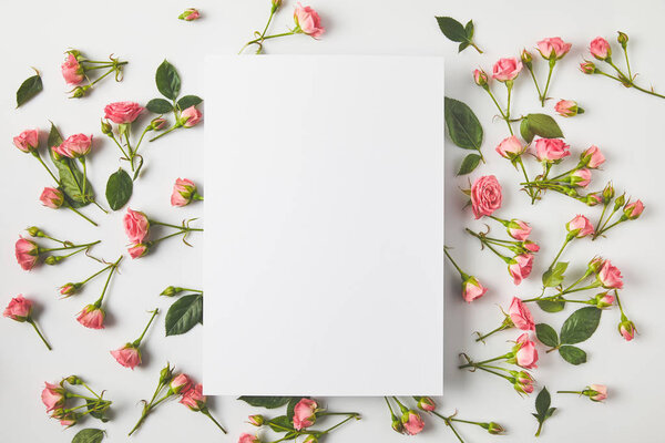 top view of blank card and beautiful pink roses with green leaves on grey 