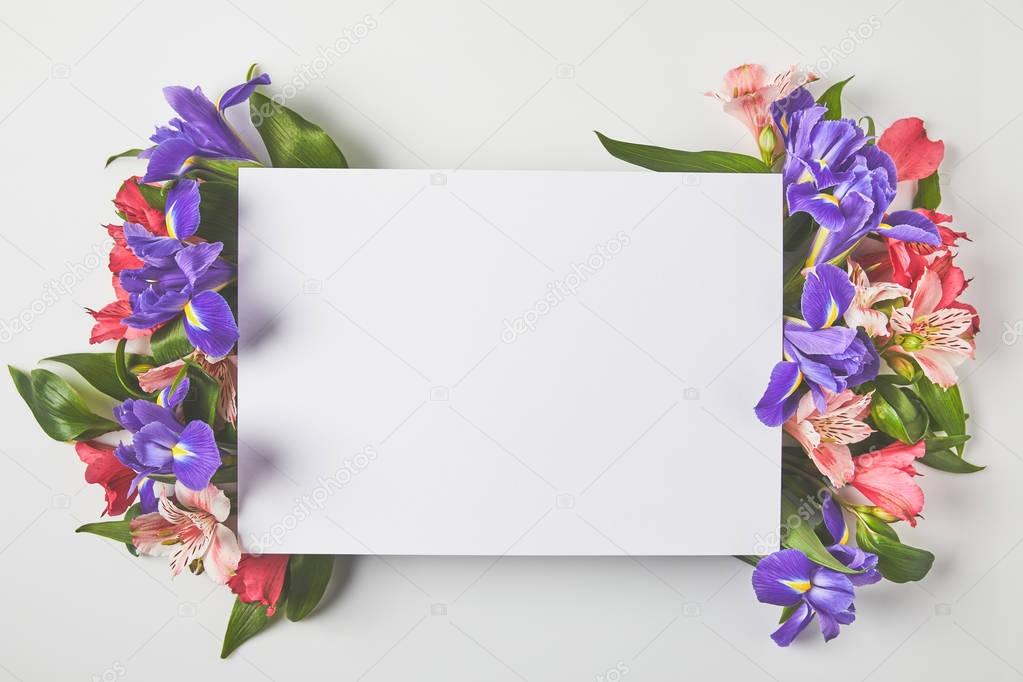 top view of blank card and beautiful tender flowers on grey 