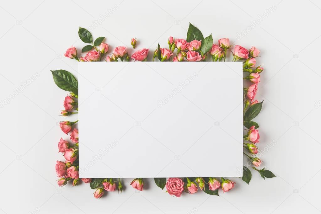 blank card and beautiful pink roses with green leaves on grey 