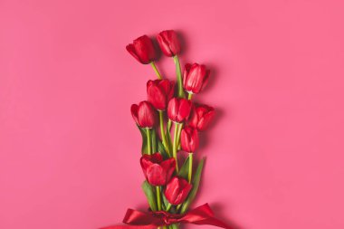kırmızı lale şerit pembe, anneler günü kavramı ile bağlı Üstten Görünüm