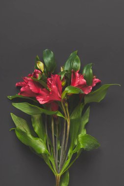 Alstroemeria çiçek buketi üstten görünüm koyu gri, anneler günü kavramı