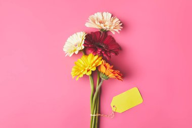 boş etiket, anneler günü kavramı ile renkli Gerbera çiçekleri buketi