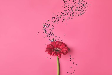 pembe, anneler günü konsepti üzerine Gerbera çiçek üstten görünüm akan bileşimi ile sprinkles