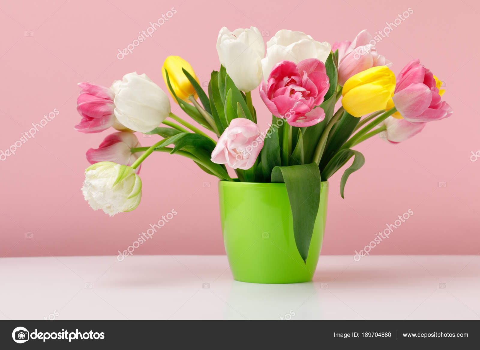 Tender Blooming Tulips Vase Pink Background Stock Photo by