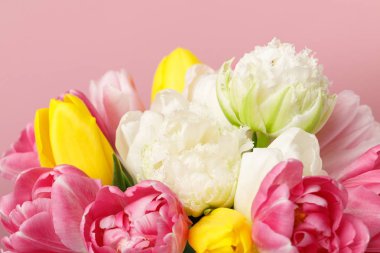 Tender spring tulip flowers isolated on pink background clipart