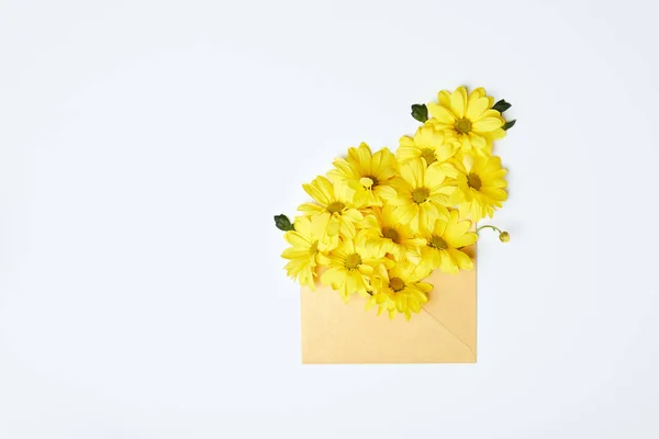 Žluté Chryzantémy Obálce Izolované Bílém — Stock fotografie