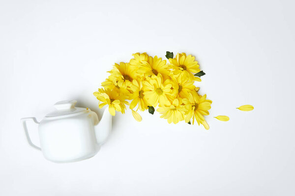 Pouring yellow daisies from white teapot isolated on white