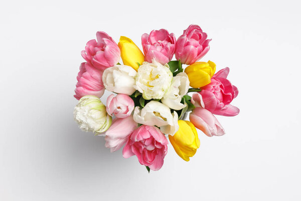 Tender spring tulip flowers isolated on white