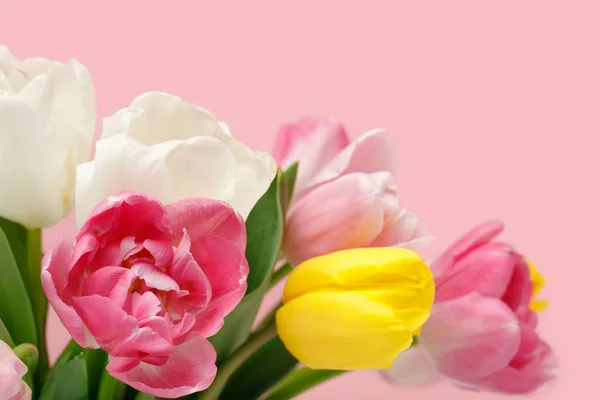 Ramo Coloridos Tulipanes Primavera Aislados Sobre Fondo Rosa — Foto de Stock