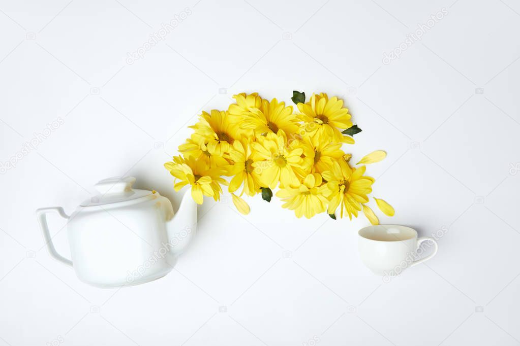 Pouring yellow chrysanthemums from white teapot into cup isolated on white