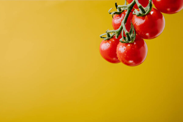 branch of fresh cherry tomatoes isolated on yellow