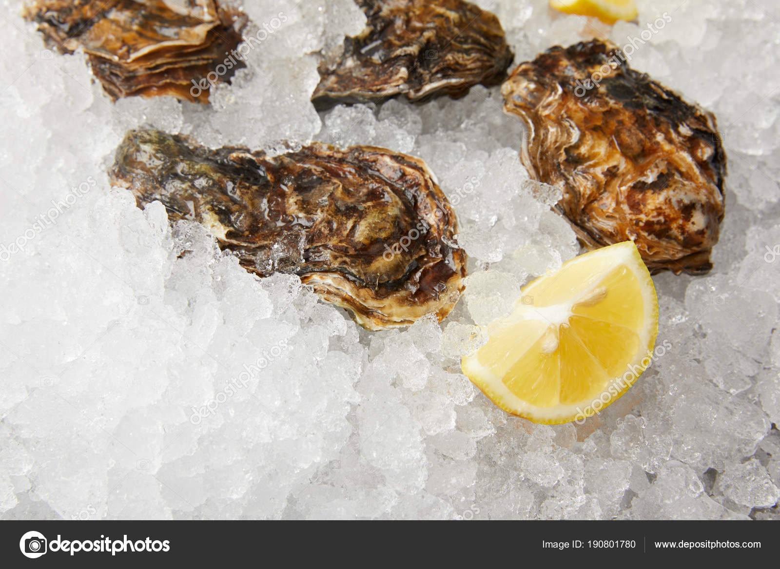 Cooled Oysters Refrigerated Ice Lemon — Free Stock Photo © AntonMatyukha 190801780